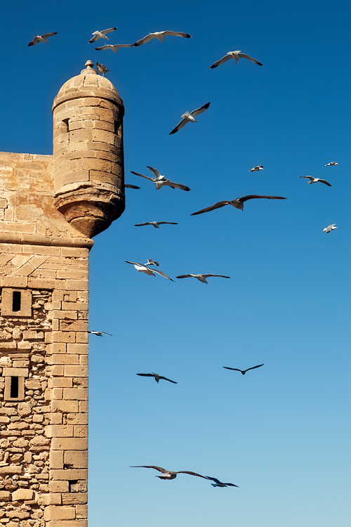 Morocco CN2YZ DX News Morocco CN2YZ DX News