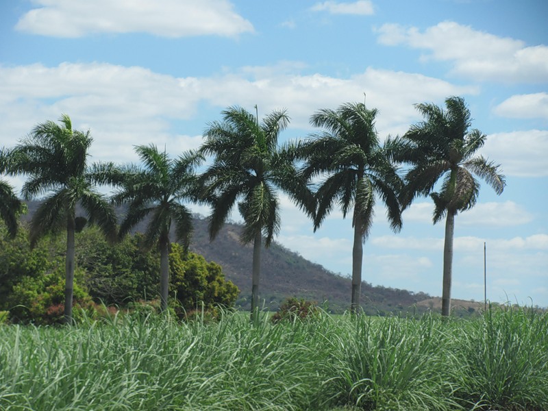 Мозамбик C91GR Мозамбик C91GR