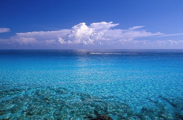 Mujeres Island XE3/K5ENS DX News Island of Women