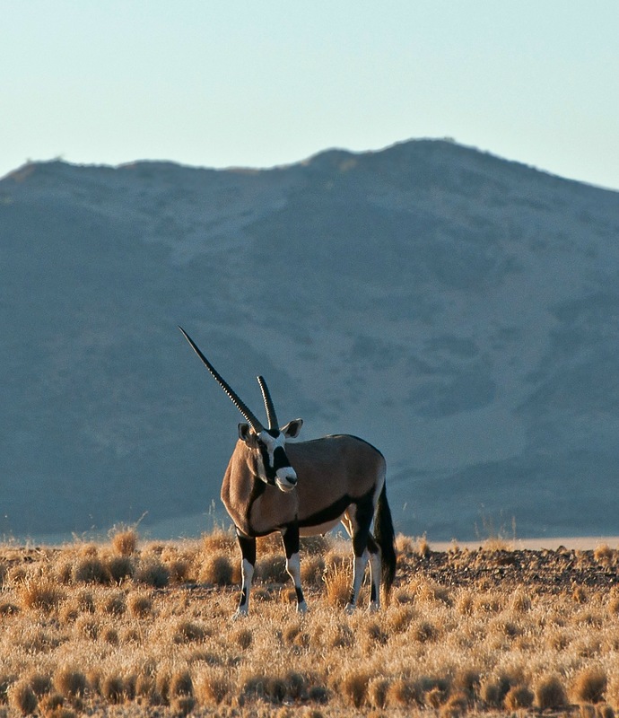 Namibia V5/BA4DW DX News