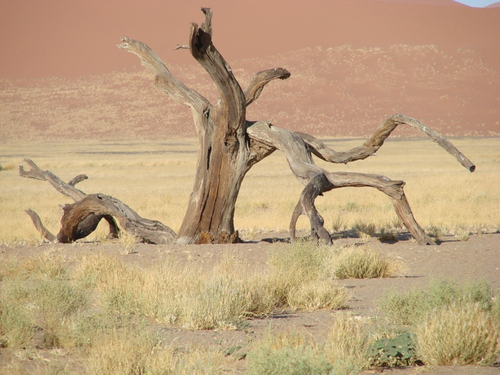 Namibia V55A Namibia V55A