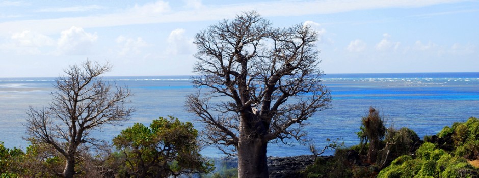 Ngazidja Island Comoros Islands D64K Ngazidja Island Comoros Islands D64K