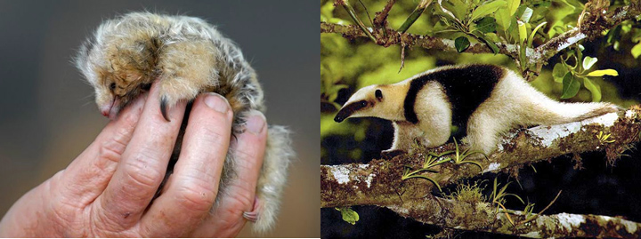 Nicaragua DX News Nicaragua DX News