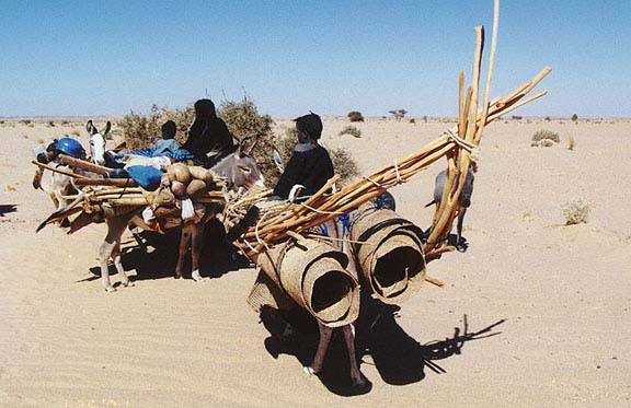 Niger 5U6E 5U8NK DX News Niger 5U6E 5U8NK DX News