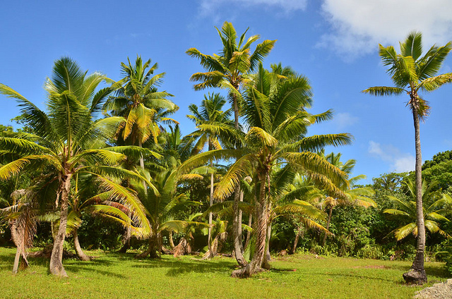 Niue Island E6AK E6AY E6AA Niue Island