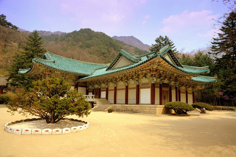 North Korea P5/K6VVA