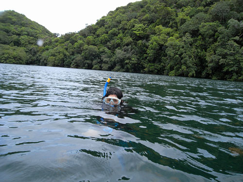 Palau T80W Palau T80W