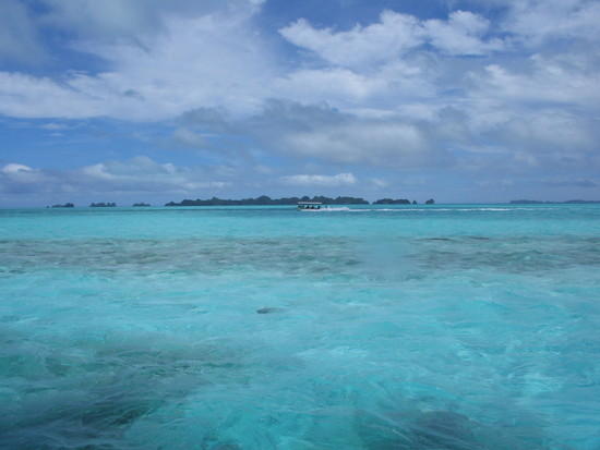 Palau Islands DX News T88ME Palau Islands DX News T88ME