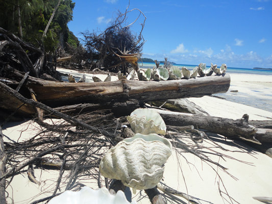Palau Islands T88KF DX News Palau Islands T88KF DX News
