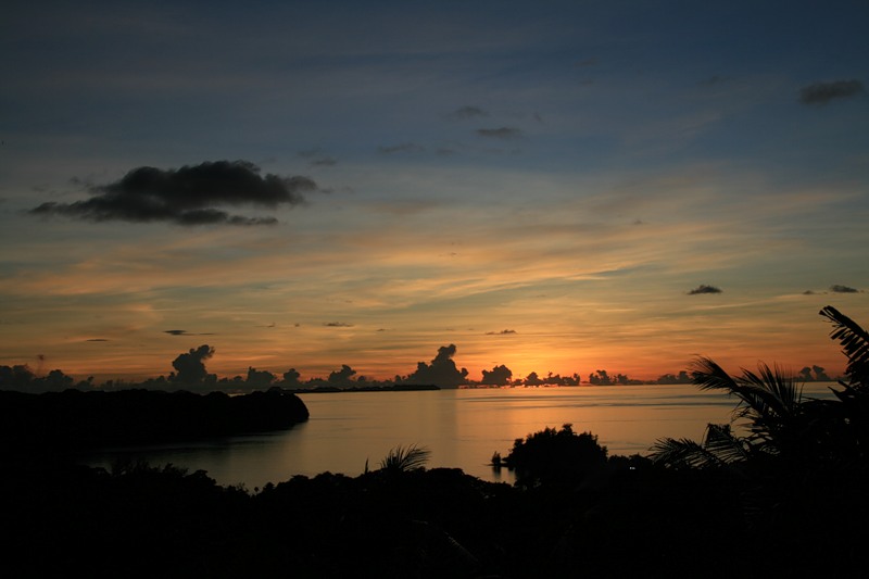 Palau T88AT Palau T88AT