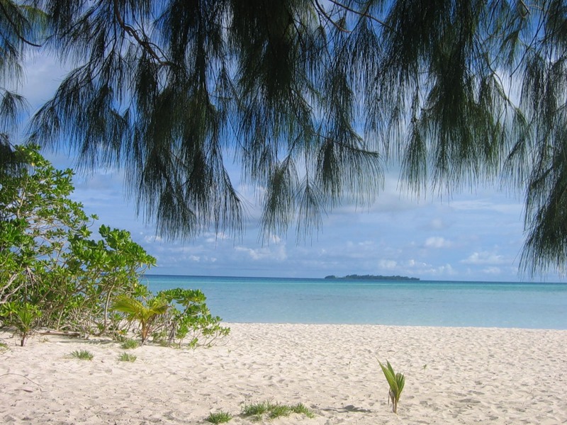 Palau T88AZ Palau T88AZ