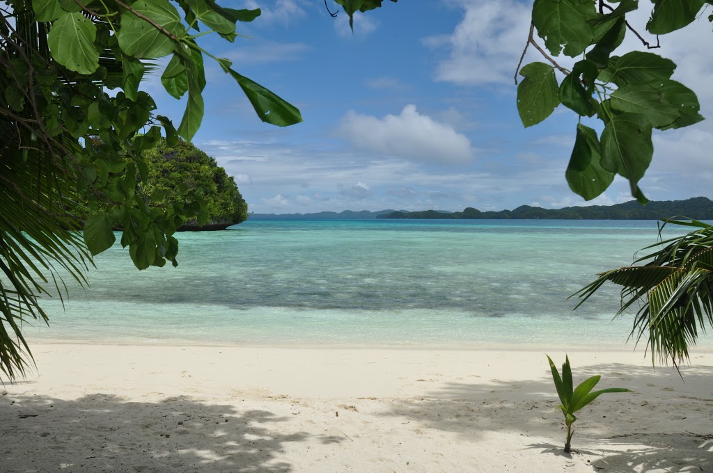 Palau T88GJ DX News Palau T88GJ DX News