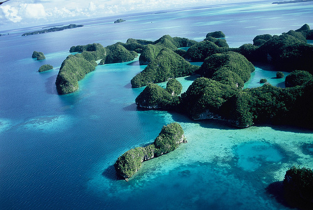 Palau T88SM 2012 Palau T88SM 2012