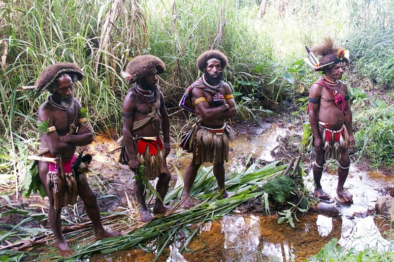 Папуа Новая Гвинея P29LL DX Новости Папуа Новая Гвинея P29LL DX Новости