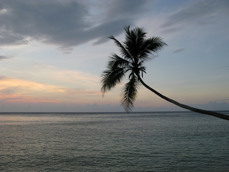 Папуа Новая Гвинея P29NO DX Новости Папуа Новая Гвинея P29NO DX Новости