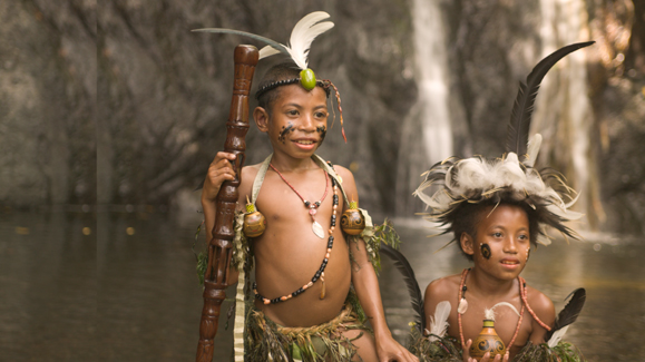 Papua New Guinea P29VLR