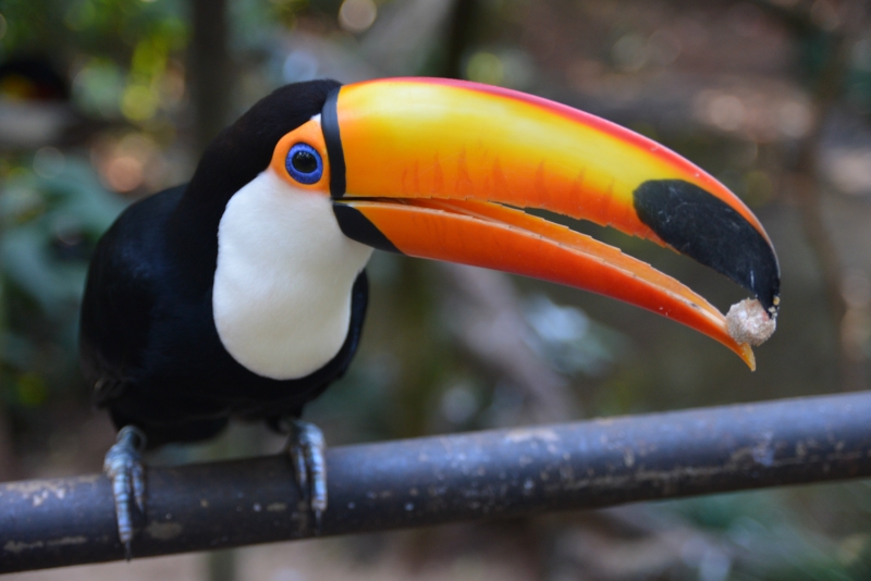 Paraguay ZP8T DX News Paraguay ZP8T DX News