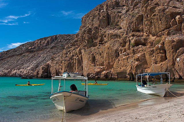 Partida Island XF1P DX News