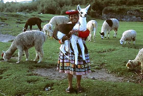 Peru DX News OA4DI Peru DX News OA4DI