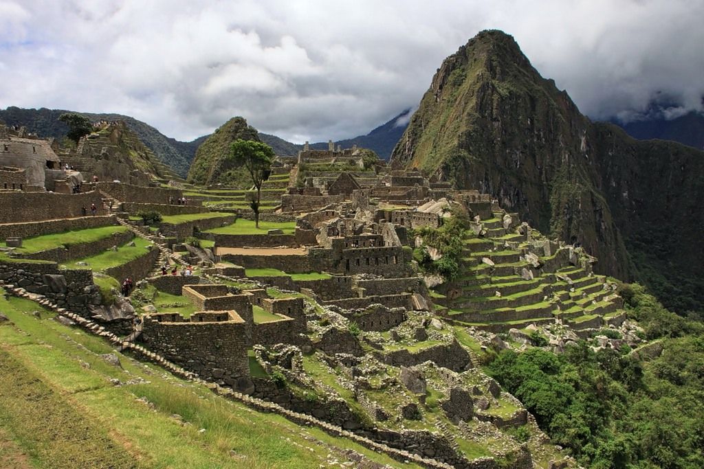 Peru OA4/NK0S Peru OA4/NK0S