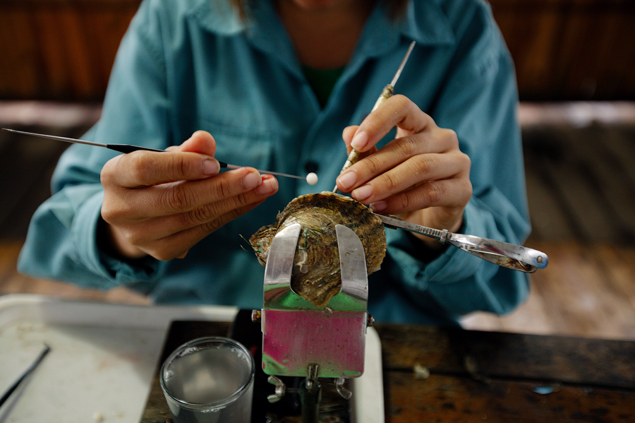 Остров Фу Куок Вьетнам XV4LU Жемчуг Остров Фу Куок Вьетнам XV4LU Жемчуг