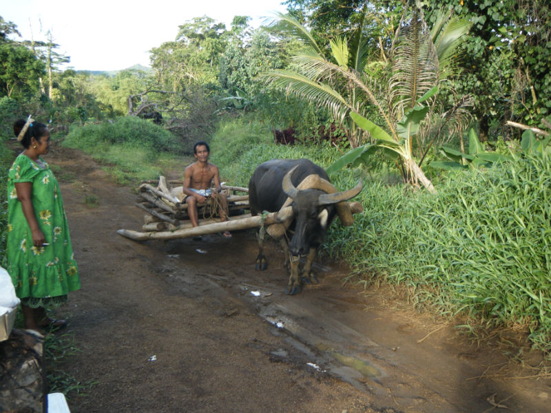 micronesia articles micronesia articles