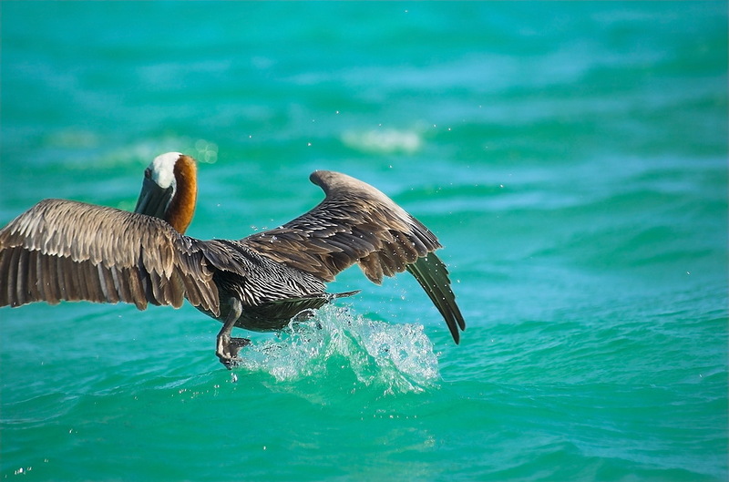     HI7/F5NBK HI7/F4GEJ HI7/F0GQX