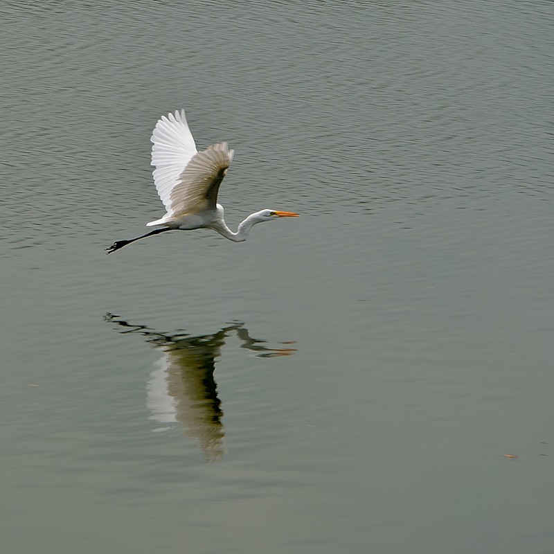     HI7/F5NBK HI7/F4GEJ HI7/F0GQX DX 