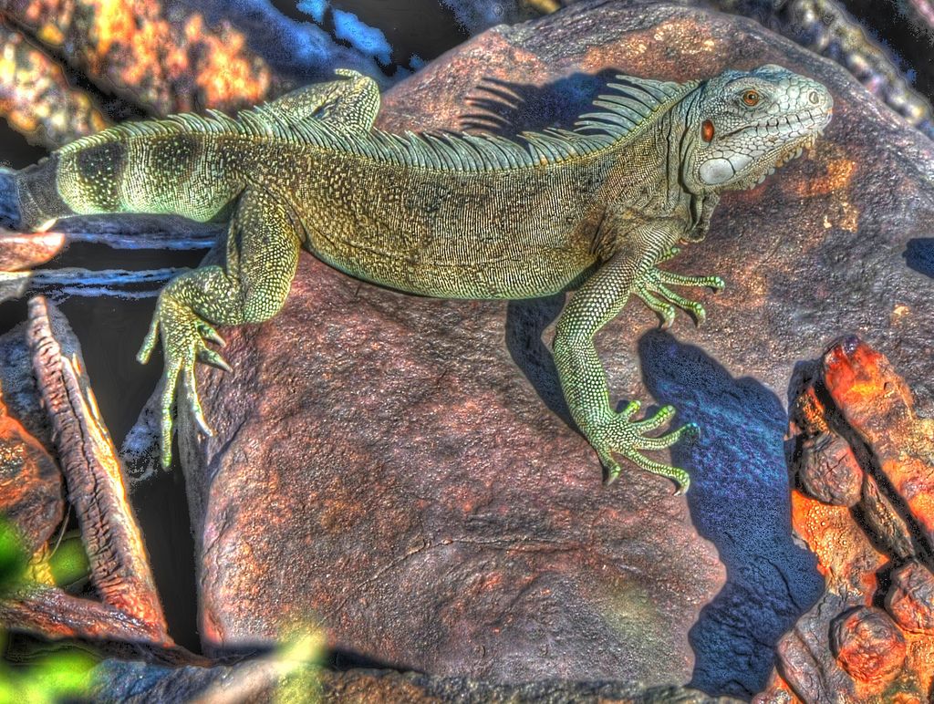      FR/F5UOW FR/F8FUA DX 