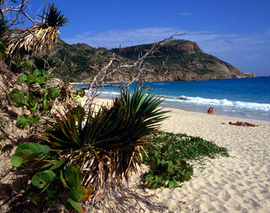 Сан Бертелеми DX Новости FJ/SM5ENX Сан Бертелеми DX Новости FJ/SM5ENX