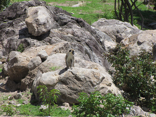 Остров Сент Киттс V4/K5MV Остров Сент Киттс V4/K5MV