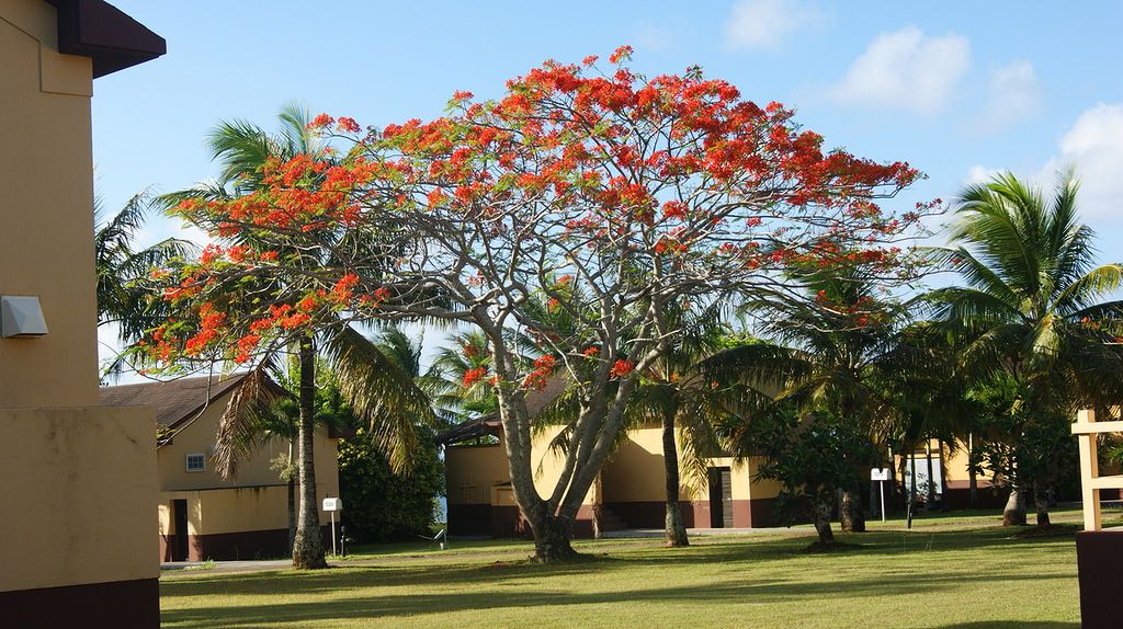 Остров Сайпан AH0YL Остров Сайпан AH0YL