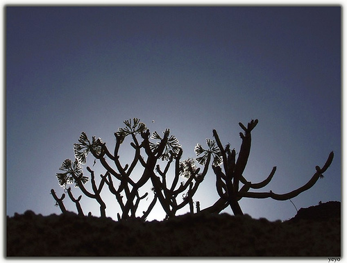 Санта Мария де Гвия Лас Пальмас Гран Канария EF8M DX Новости  Санта Мария де Гвия Лас Пальмас Гран Канария EF8M DX Новости