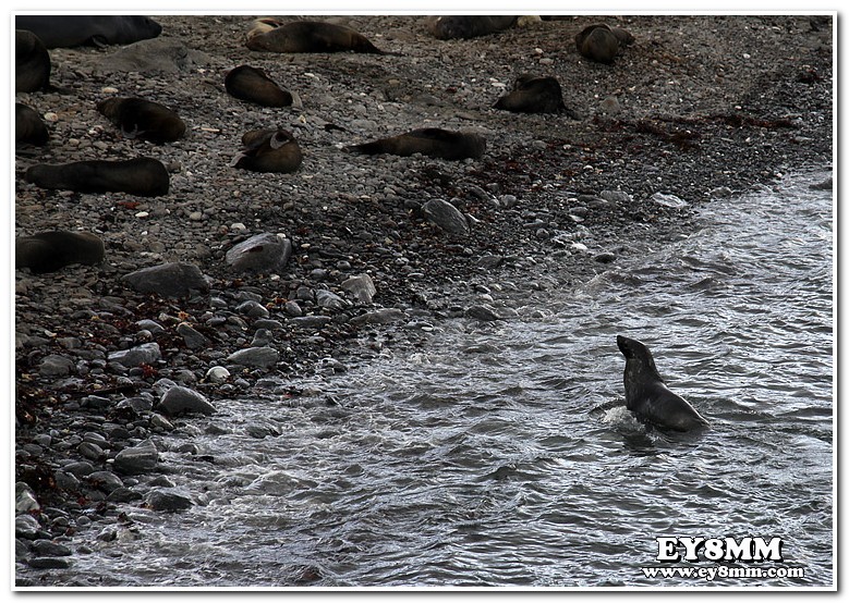 Хозяева Острова Сайни Южно Оркнейские Острова VP8ORK Хозяева Острова Сайни Южно Оркнейские Острова VP8ORK
