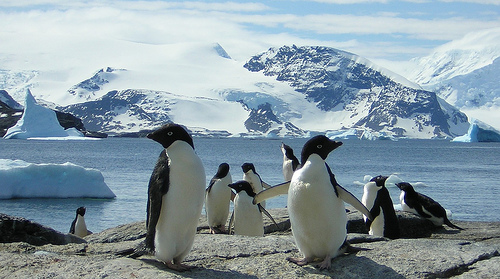 VP8ORK - Signy Island - South Orkney Islands