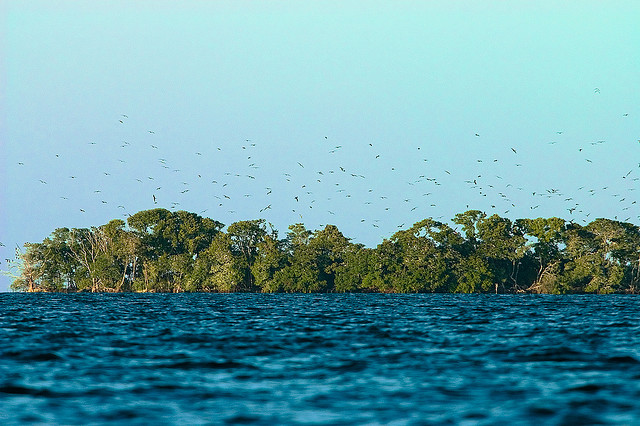 Остров Саут Уотер Кей South Water Cay V31JZ/P Белиз DX Новости Остров Саут Уотер Кей South Water Cay V31JZ/P Белиз DX Новости