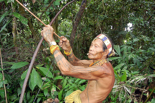 Sumatra Island YB43AR