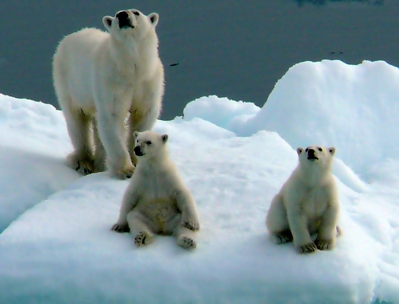 Svalbard Islands JW/SM6DQR