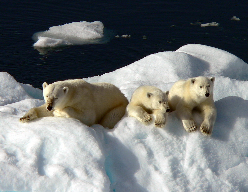 Svalbard Islands JW6VJA JW6VMA Svalbard Islands JW6VJA JW6VMA