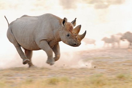 Swaziland 3DA0FC DX News