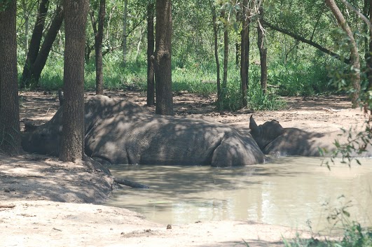 Свазиленд 3DA0MF  Свазиленд 3DA0MF