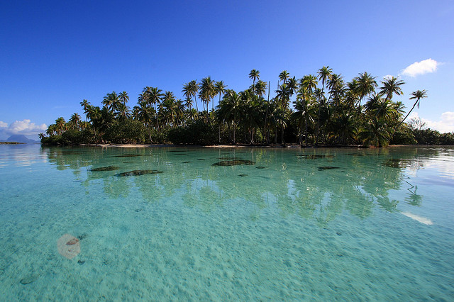 FO/F6BCW - French Polynesia