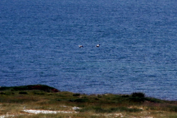 Tajikistan EY8DD DX News Tajikistan EY8DD DX News