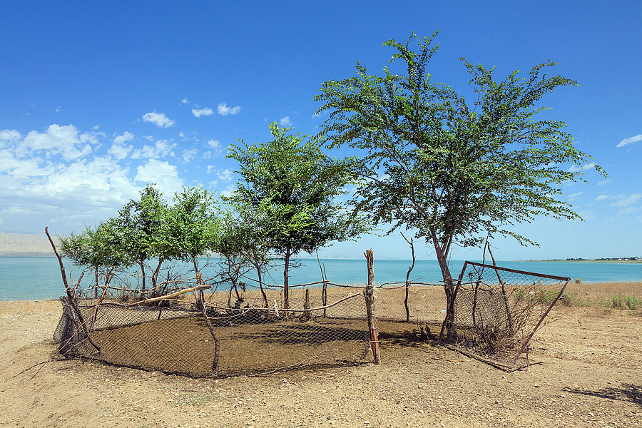 Tajikistan EY8JA DX News