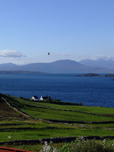 Tanera Mor Island GM1J Tanera Mor Island GM1J
