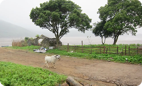 Остров Танту BY4QA/5 Остров Танту BY4QA/5