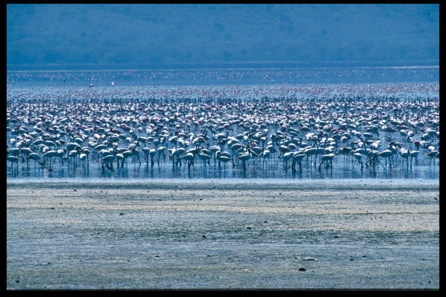 Tanzania 5H2DCL DX News Tanzania 5H2DCL DX News