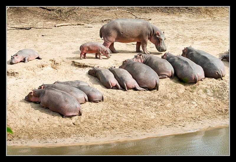 Tanzania 5H3ME 2012 DX News Tanzania 5H3ME 2012 DX News