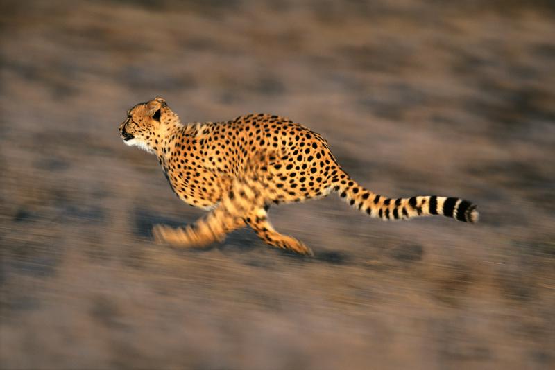 Танзания 5H3NP DX Новости Танзания 5H3NP DX Новости