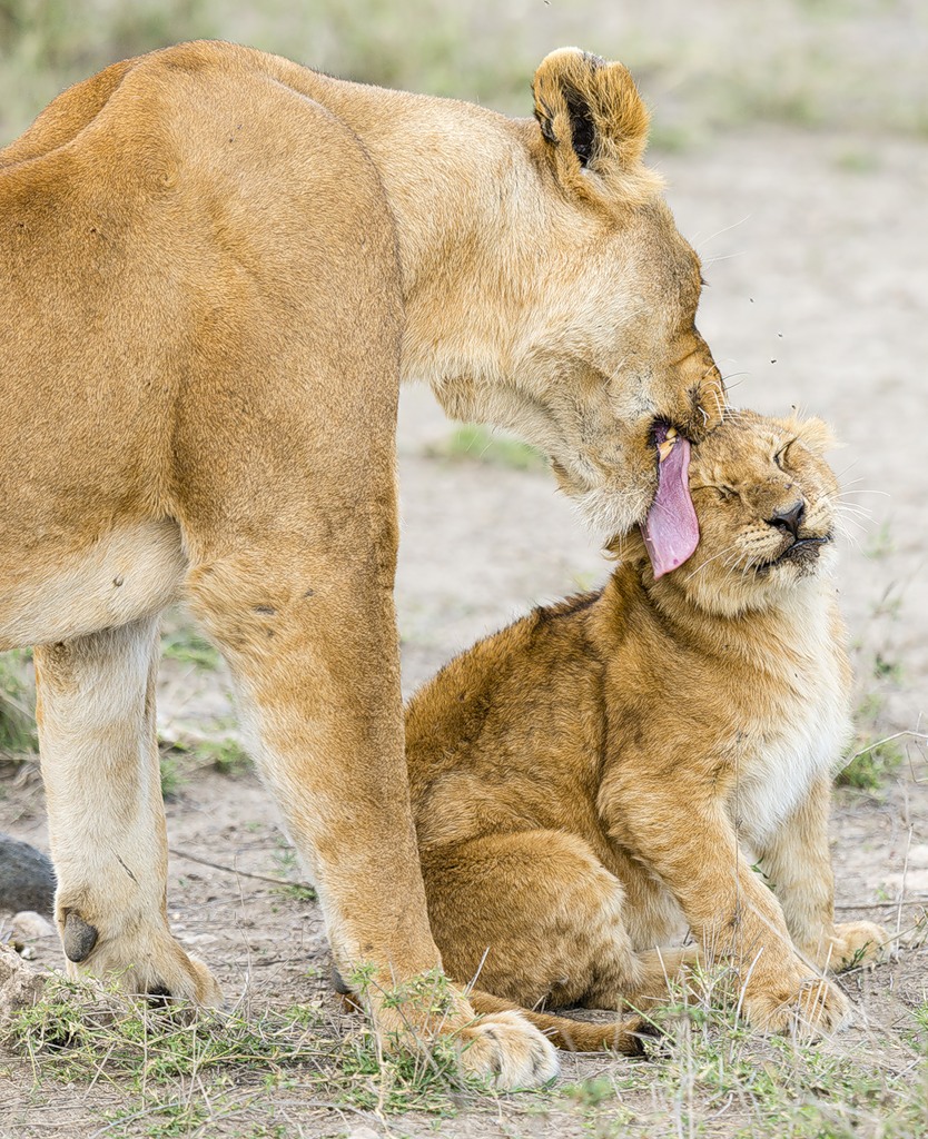 Танзания 5H9GB DX Новости Танзания 5H9GB DX Новости